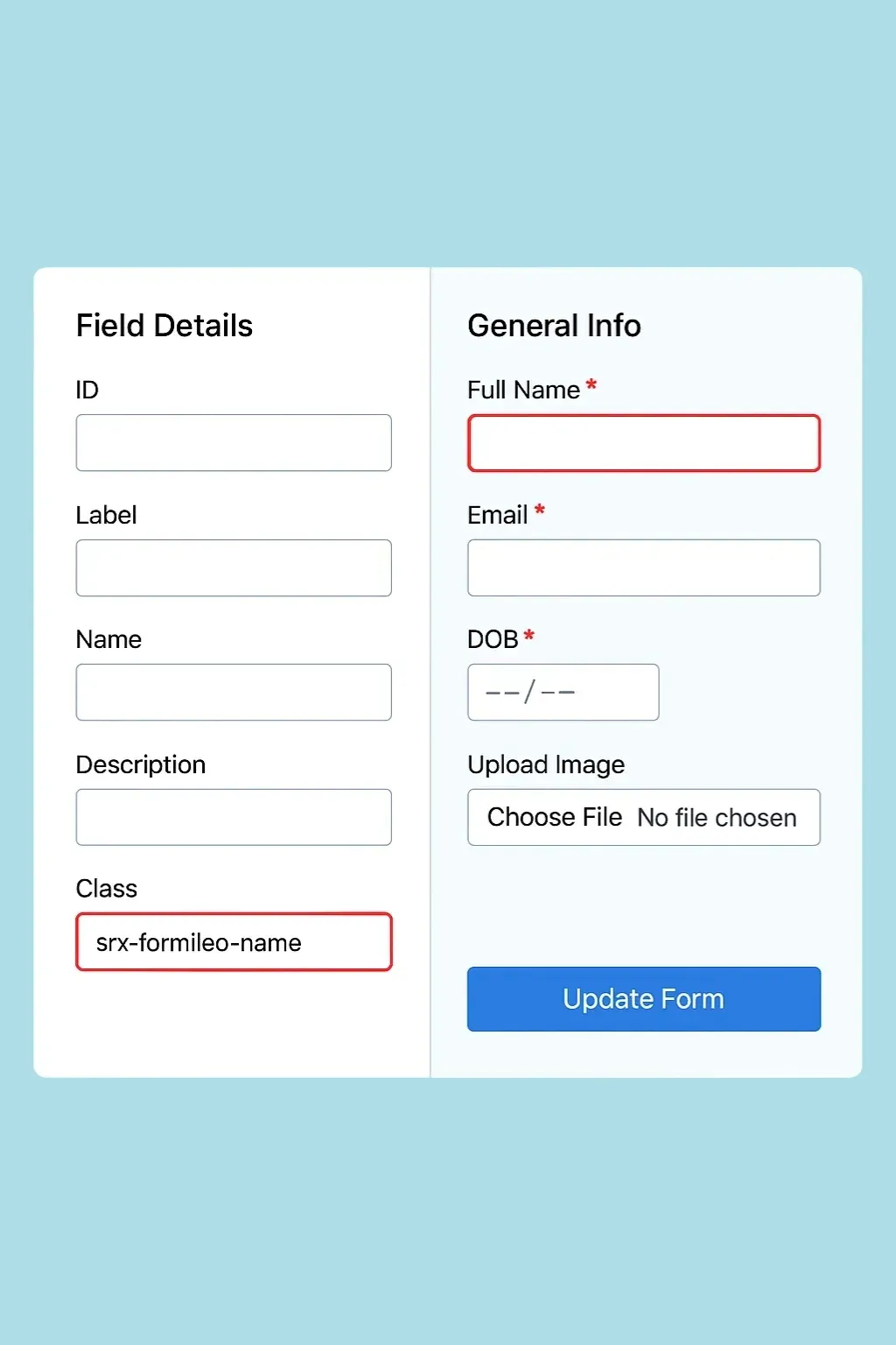Customize-form Feature Customize-form Feature